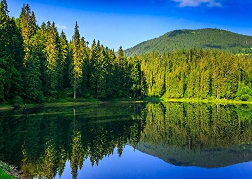 Corfoto 9x6ft בד הר ההר אגם תפאורה של יער מחטני נוף נוף רקע עצים
